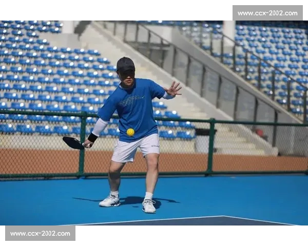 新手入门必看体育赛事推荐轻松理解规则享受比赛乐趣