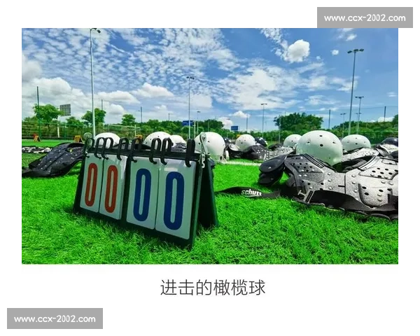 美式橄榄球的起源演变与全球化发展趋势分析 - 副本 美式橄榄球的起源演变与全球化发展趋势分析 - 副本