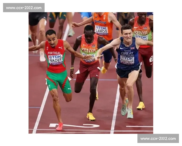 赛事实时直播精彩纷呈，快来观看最新进展与精彩瞬间分享 - 副本 - 副本